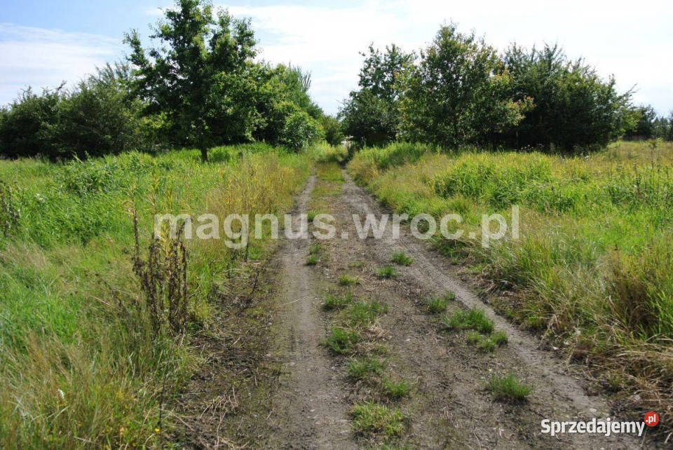 Działka rolna w sercu Wrocławia Widawą Kowale 6069m2 Wrocław sprzedam