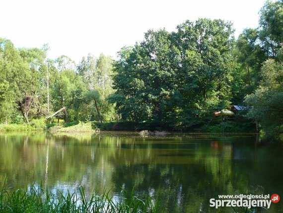 Domek letniskowy parterowy Domy Sułów