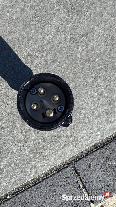 Wtyczka elektryczną Ksawerów