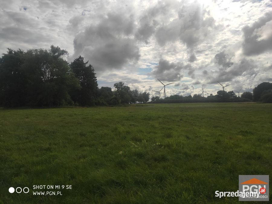 Do sprzedaży działka 10000m Skrobotowo