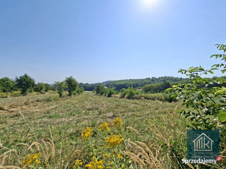 sprzedaży działki Bodzanów 5890m2 małopolskie sprzedam