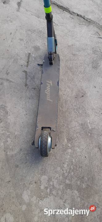 hulajnoga elektryczna Żmudź