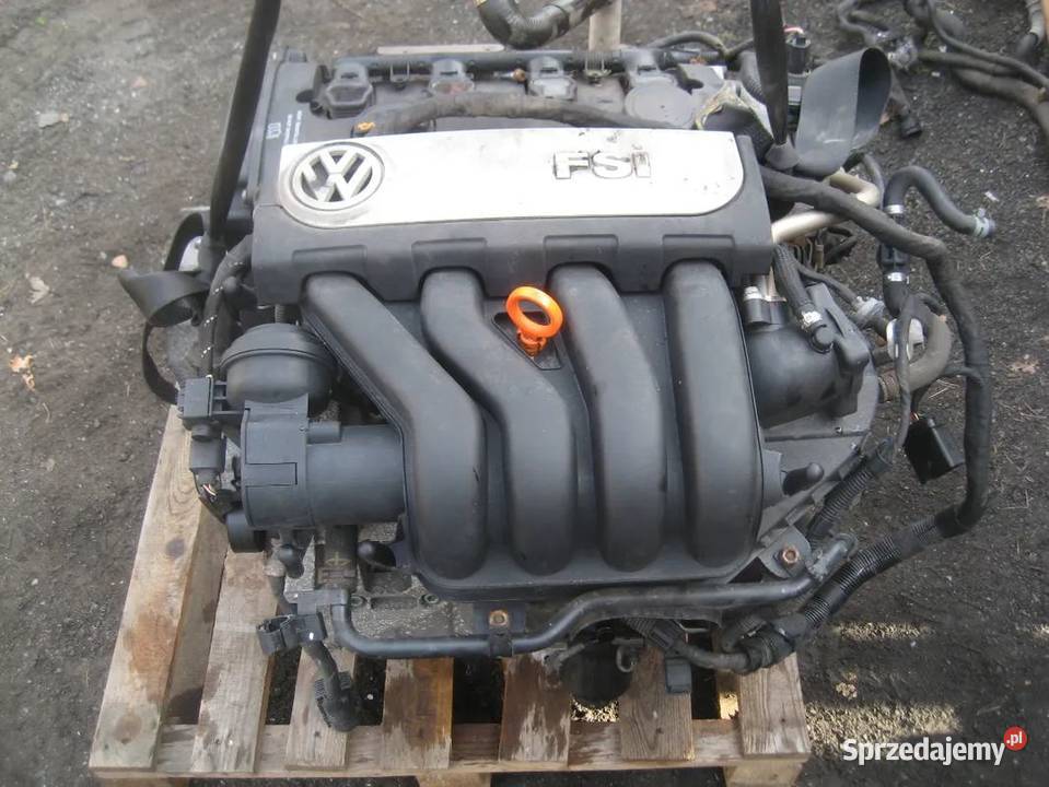 vw passat b6 20 fsi benzyna silnik motor symbol Rakoniewice