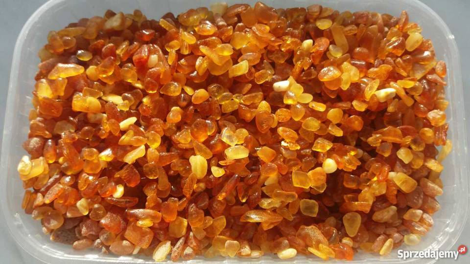 BURSZTYN NATURALNY SUROWY pomorskie Gdańsk