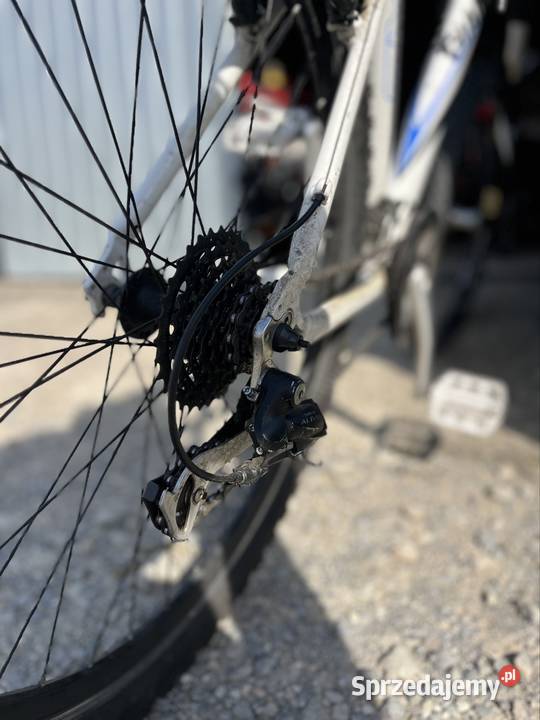 Giant Rincon 26 Górskie, MTB podkarpackie Dębica