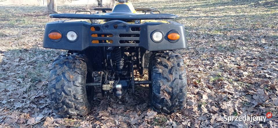 Quad Roxon RX 150 Brzozów