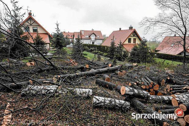Wycinka drzew karczowanie działek prace lubelskie Lublin