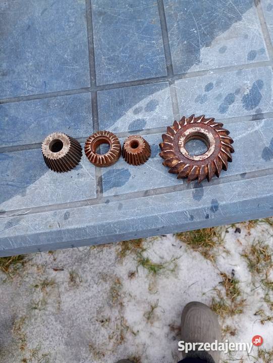 Otwornice Krosno Odrzańskie