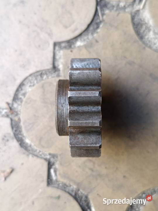 Zębatka mała Przeworno sprzedam