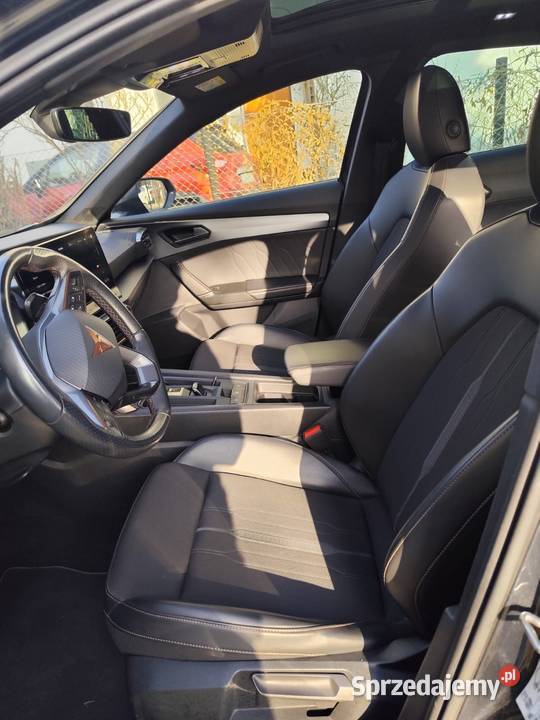 na sprzedaż cupra dolnośląskie