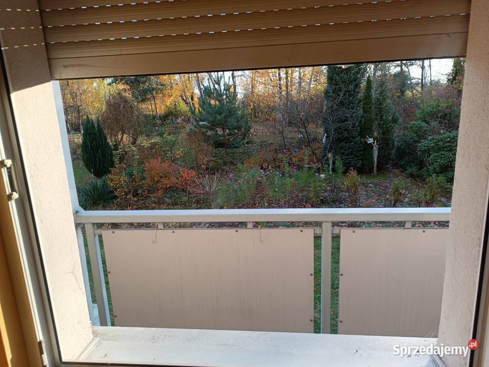 Rewelacja parter Sikorskiego niski blokodrębna sprzedam