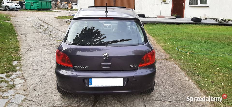 Peugeot 307 Sport S16 20 140 2002 Alu 17 Sprawny lubelskie Nałęczów
