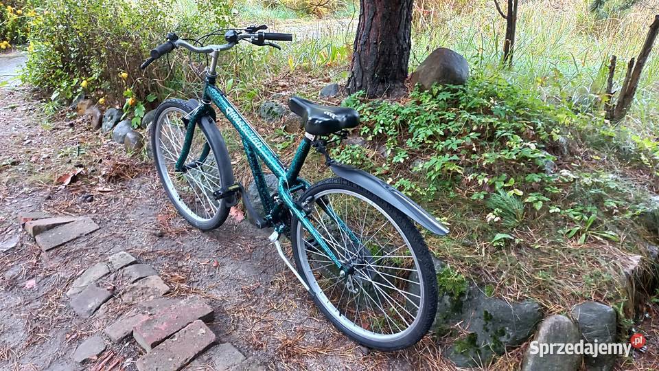Włoski Rower Górski Mtb Retro Vintage Girardengo Górskie, MTB Wołów