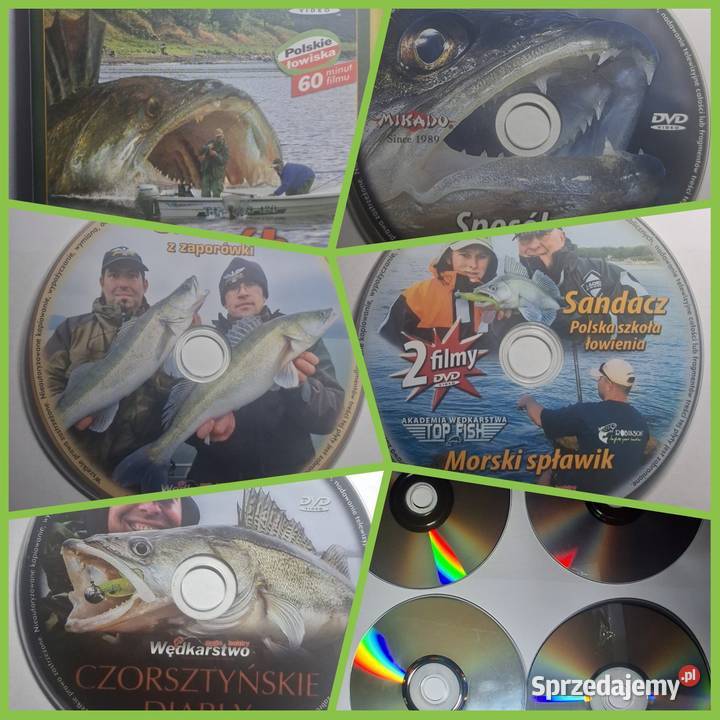 Filmy wędkarskie Sandacz 5 Filmów DVD łódzkie