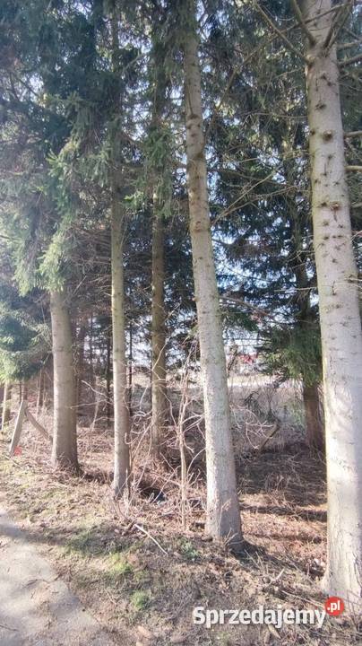 Dzialka z Warunkami Zabudowy