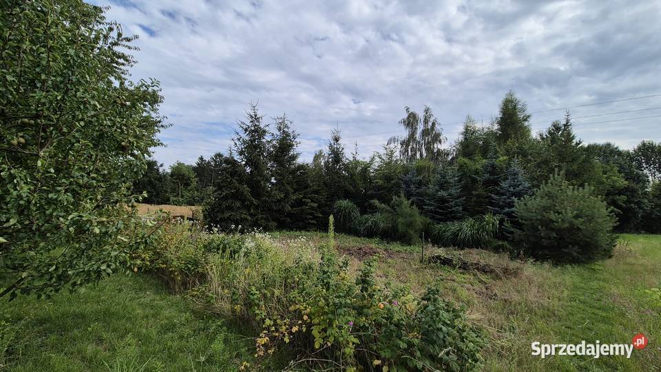 Siedlisko 035h z sadem ogrodem lasem Strzyżów metalowe