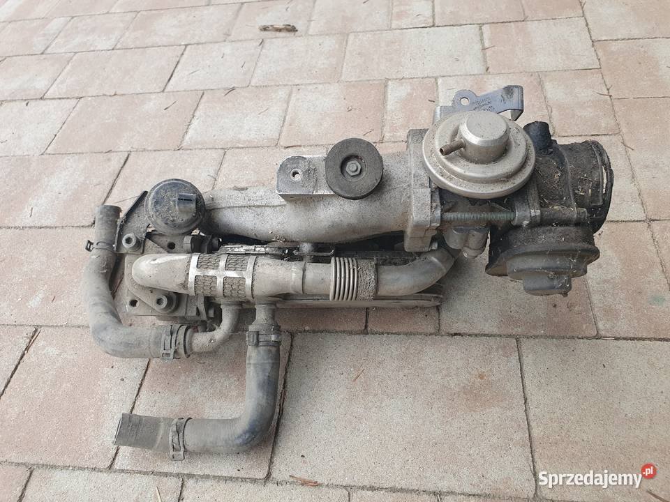 Egr przepustnica kolektor audi a3 8p 19tdi bls Glewiec sprzedam
