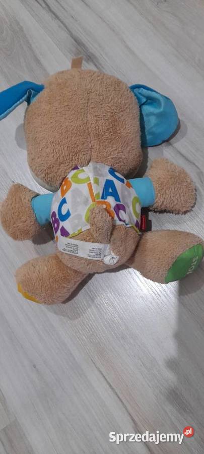 Piesek fisher promocja 6m+ śląskie Zawiercie