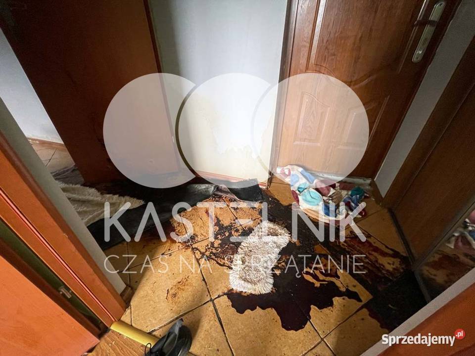 Sprzątanie zgonach Tarnobrzeg Kastelnik Osuszanie i odgrzybianie