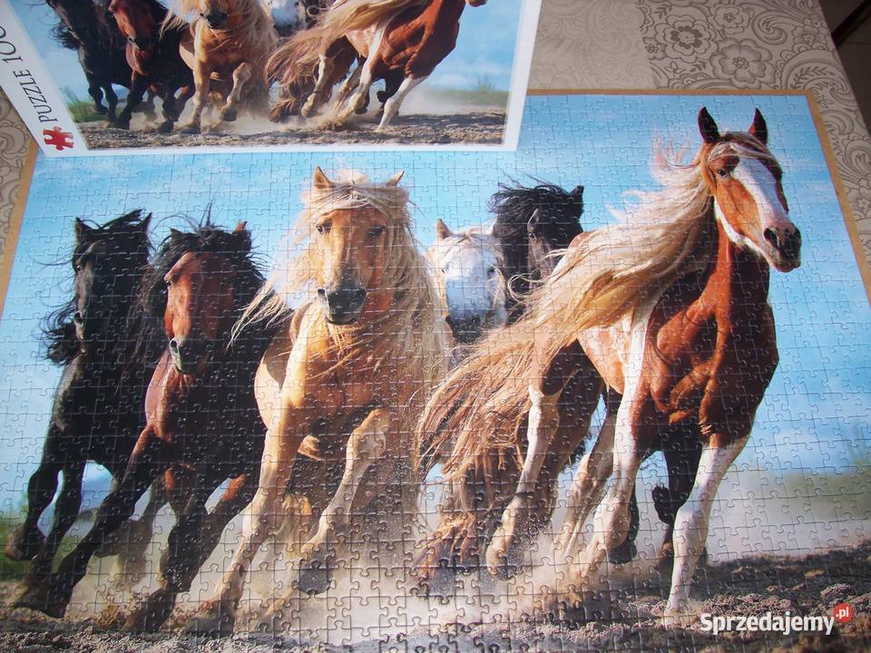 Puzzle 1000 elementów x 7 pudełek Trefl nowe łódzkie Raczynów