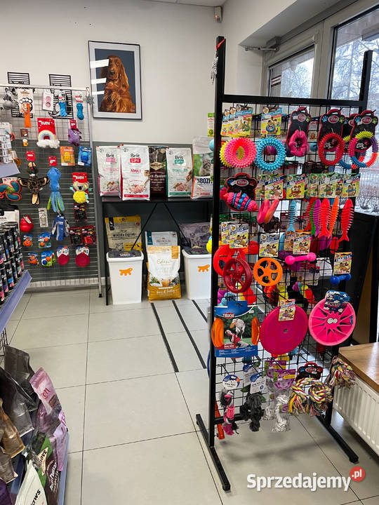 Odstąpię wyjątkowy stacjonarny sklep zoologiczny Kraków