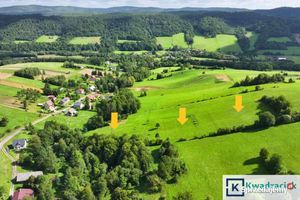 Grunt Hołuczków 11100m2 Sprzedaż