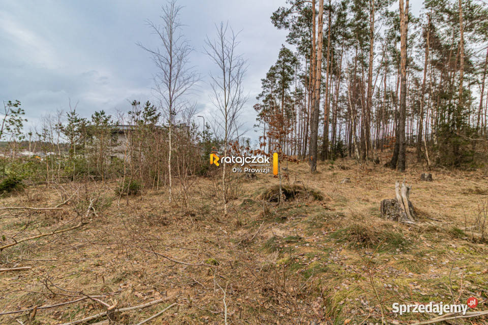 Działka Chwaszczyno 3004m2