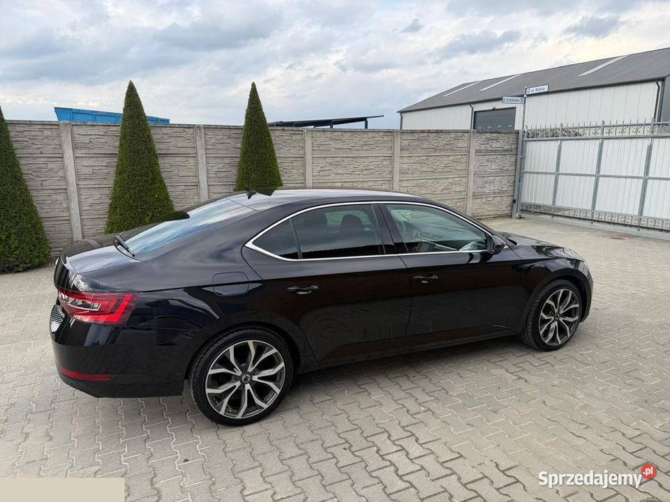 Skoda Superb 16 TDI Active DSG 120 2019r wielkopolskie Krotoszyn