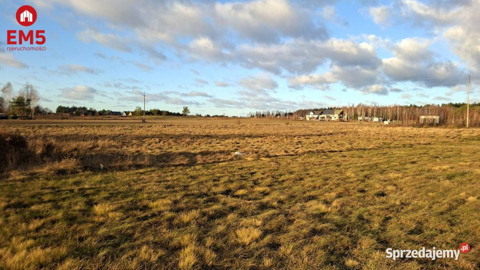 Sprzedam grunt Niecki 1398m2