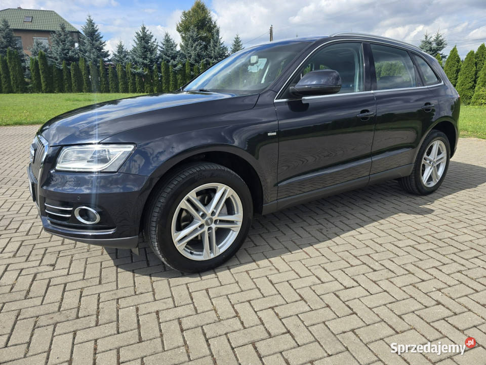 Audi Q5 20tdi QuattroNaviAutomatElektrKlapa Zarejestrowany w Polsce Q5 Kutno
