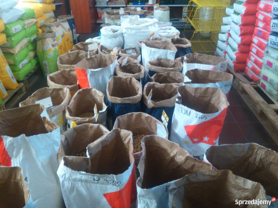 sklep wszystko gołębi papug kanarków i kur śląskie Przyszowice