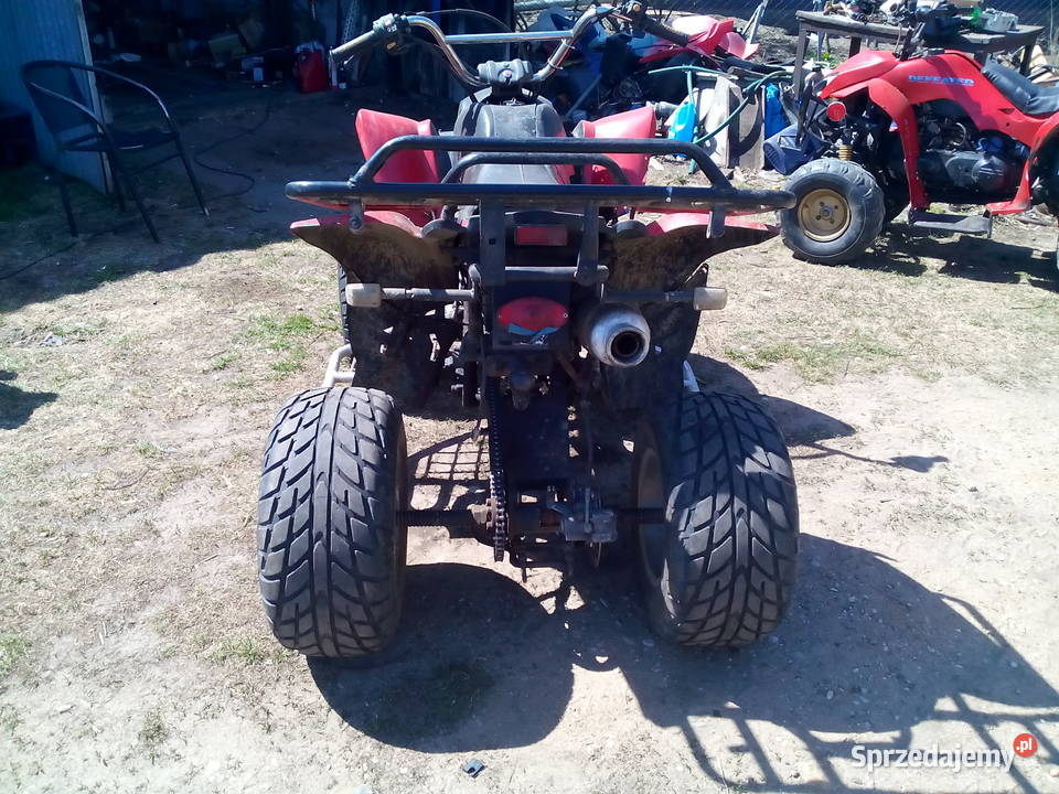 quad 250 manual Wizna