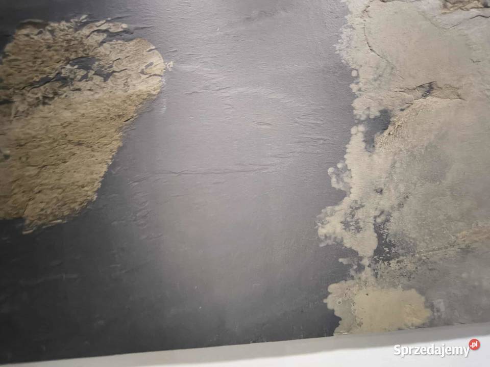 Płytki Łupek Indian Autumn Naturalny 60x40x12 Rumia