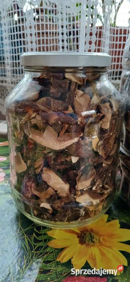 Sprzedam tegoroczne suszone grzyby Grzyby