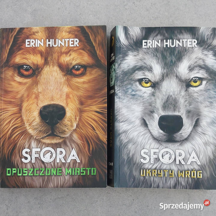 Fantasy Erin Hunter Świetne książki na jesienne Lublin
