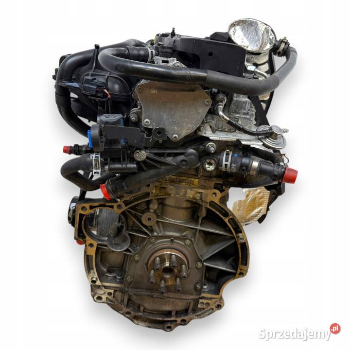 SILNIK JTDB Ford C C II Focus III MK3 16 Chełm
