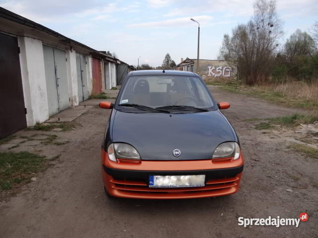 Seicento Brush 11 2003r I Miasteczko Śląskie