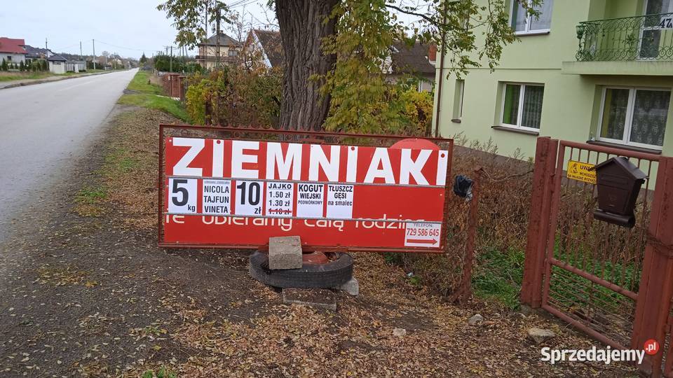 Ziemniaki