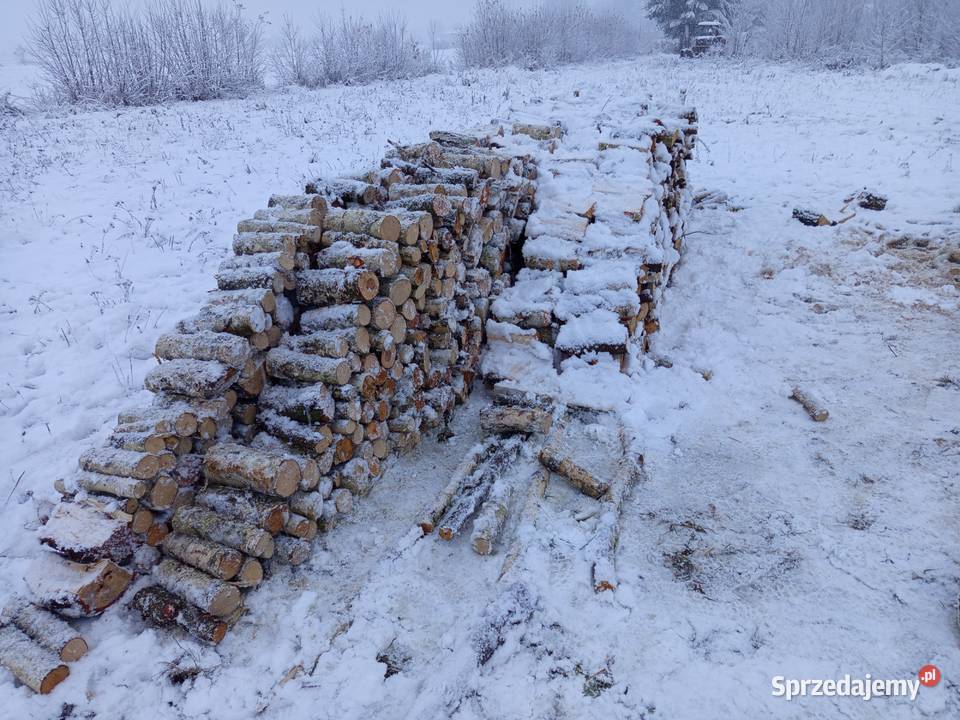 Drzewo Drewno Opałowe Kominkowe Brzoza i łódzkie Wygiełzów
