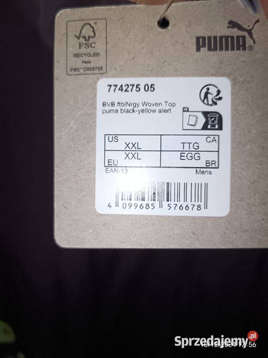 dres pumy mazowieckie Siedlce