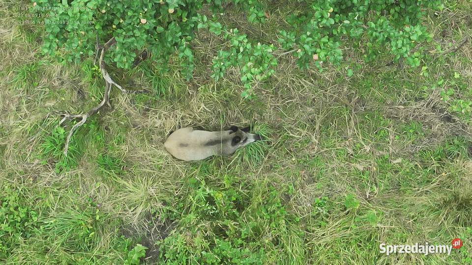 Transmisje LIVE z dronów na YTFBTWITCH