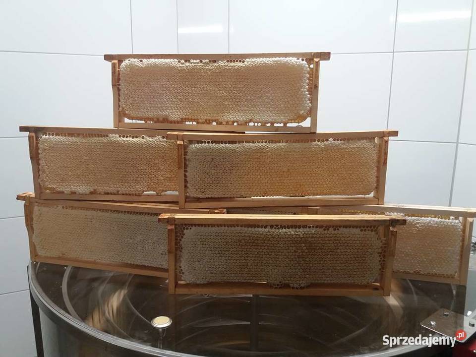 Miód Kremowany z własnej pasieki 12