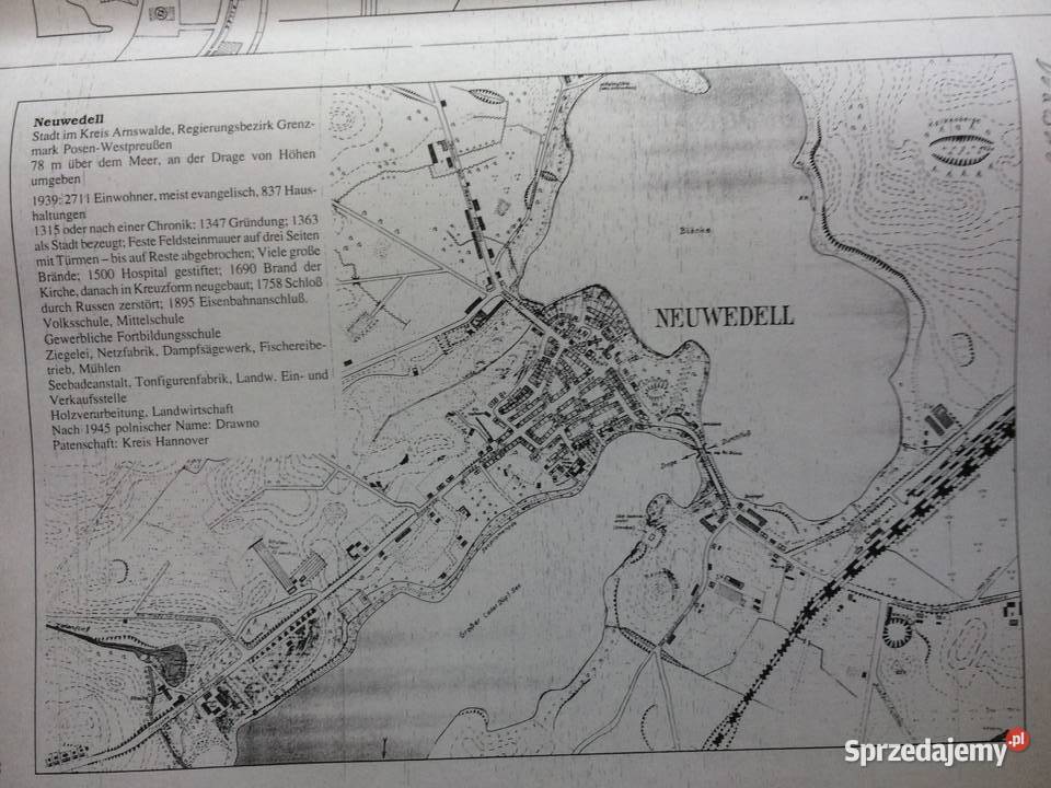 445 Niemiecki Plan Nowego Warpna Antykwariat zachodniopomorskie