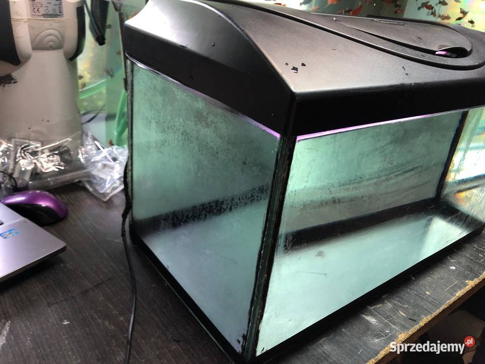 Akwarium 60 x 30 x 30 Diversa Justynów