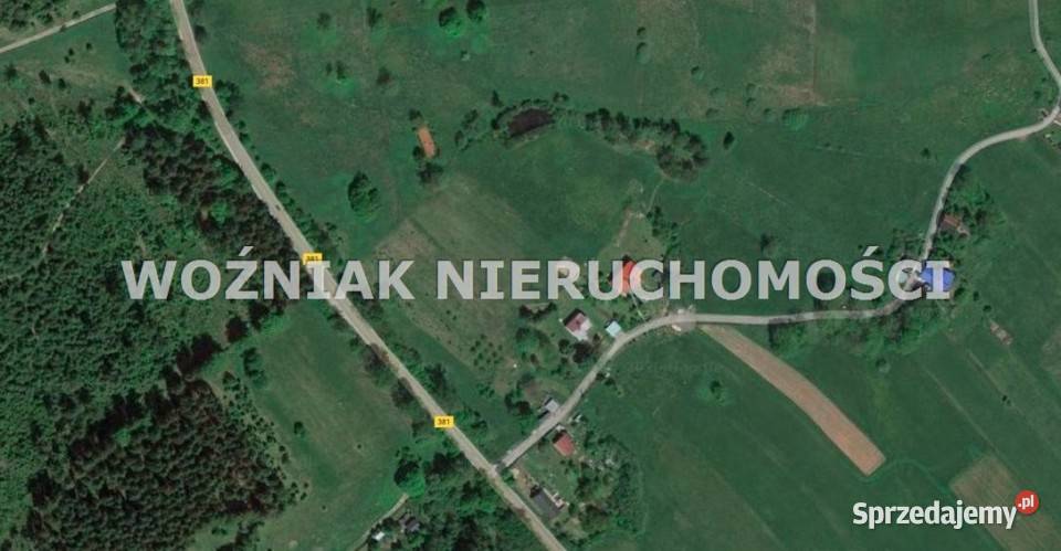 Grunt Bartnica 3000m2 woda