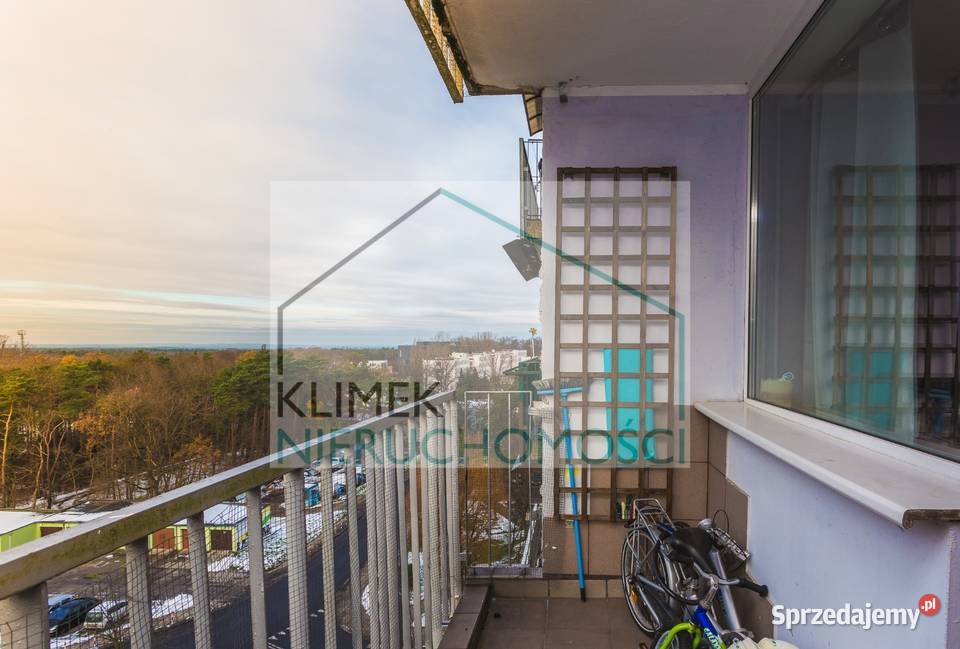 Mieszkanie kawalerka 364m Liczba pokoi 1 Zielona Góra sprzedam