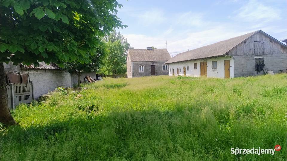 Sprzedam dom z budynkami w ciekawej okolicy Domy Warzyn Pierwszy sprzedam