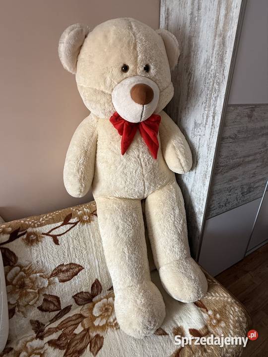 Sprzedam Misia 2 metry wielkopolskie Miejska Górka