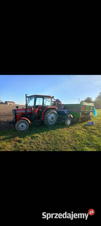 Massey Ferguson mazowieckie Szczawin Kościelny