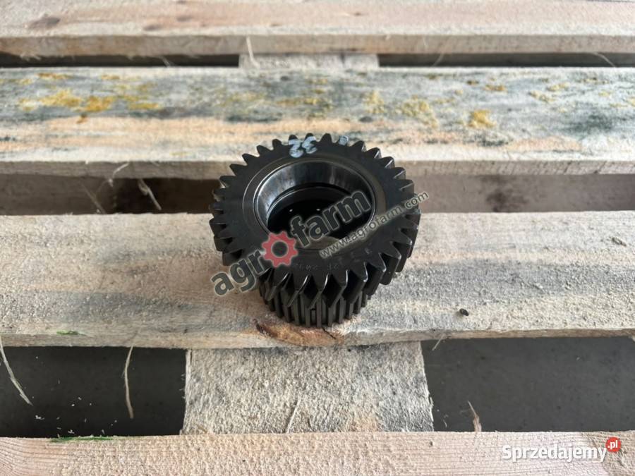 Koło zębate Z32 Case Farmall 105 Luxxum 100 Byków